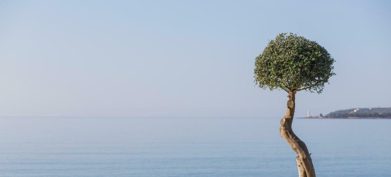 Mareggio Exclusive Residences & Suites Gytheio Exterior foto
